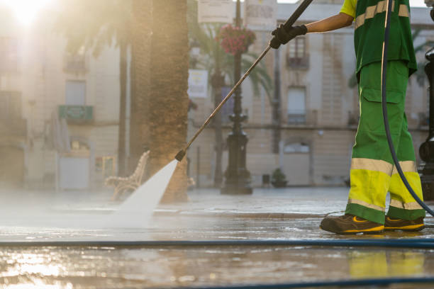 Best Driveway Cleaning and Restoration in Starbuck, MN